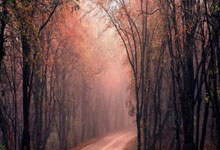 开云体育：国际篮联亚洲杯参赛球队确定 4月初分组抽签.