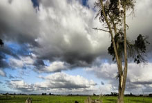 开云体育：国际篮联亚洲杯参赛球队确定 4月初分组抽签.