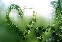 [NBA]瓦格纳26分 魔术险胜黄蜂.