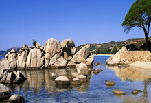 挤迪奥名利场,郑钦文狂爆金币3个亿!_腾讯新闻.